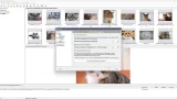 Screenshot #4 - Поиск картинок Extreme Picture Finder 3.65.11.0 RePack by elchupacabra