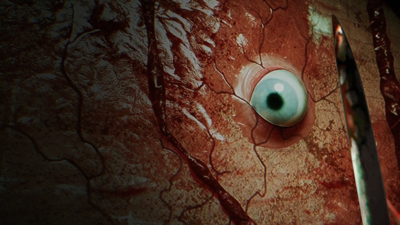 Screenshot #9 - BrokenLore: DON'T WATCH