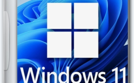 Windows 11 Pro 24H2 26244.5000 Update Canary