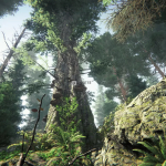 Screenshot #2 - Coniferous Forest