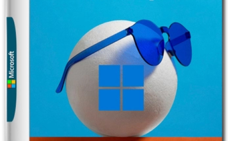 Windows 11 Lite IoT Enterprise 24H2 Build 26200.5651