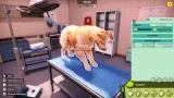 Screenshot #4 - Animal Shelter 2
