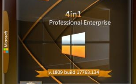 Windows 10 Professonal+ Enterprise x64 4in1 v.1809 RS5 build 17763.134 by IZUAL v.27.11.18 (esd)