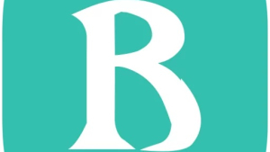 DRUZIK BROWSER 1.0.11