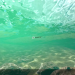 Screenshot #3 - Crest Ocean System URP