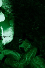 Screenshot #11 - Blood Trail