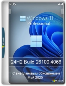 Windows 11 Pro 24H2 Build 26100.4066 Update 2025-05-28