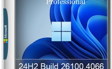 Windows 11 Pro 24H2 Build 26100.4066 Update 2025-05-28