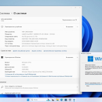 Screenshot #2 - Windows 11 Pro 23H2 Build 22631.4169 Full Сентябрь 2024