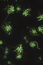 Screenshot #11 - Reassembly