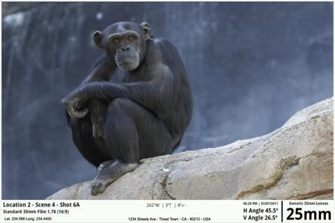 Screenshot #8 - ARTEMIS DIRECTOR'S VIEWFINDER 2.0.7