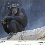 Screenshot #8 - ARTEMIS DIRECTOR'S VIEWFINDER 2.0.7