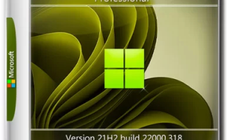 Windows 11 PRO 21H2 x64 Rus by OneSmiLe [22000.318]