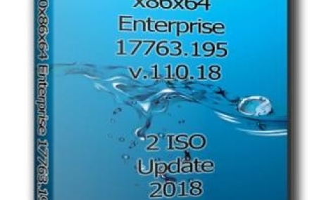 Windows 10 Enterprise 17763.195 x86/x64 by Uralsoft