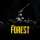 The Forest: +10 трейнер