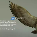 Screenshot #4 - BIRDS PACK