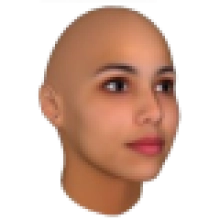 FaceGen Modeller