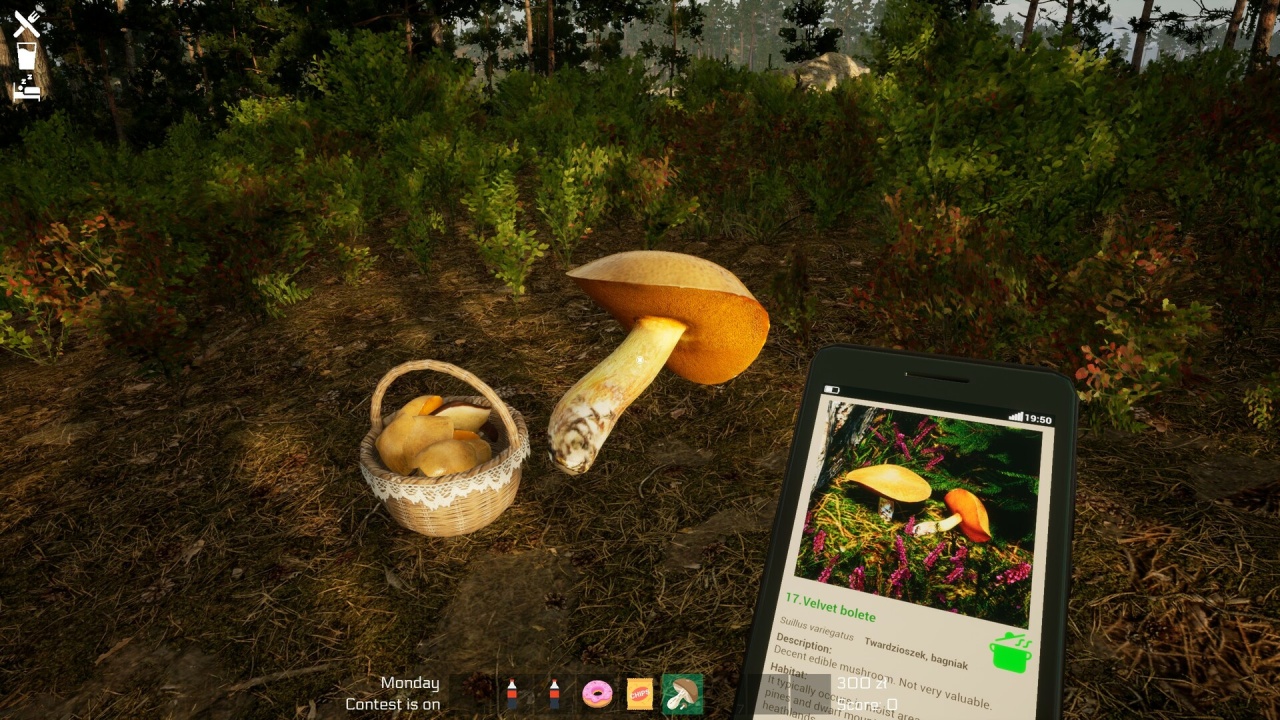Screenshot #3 - Mushroom Season
