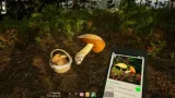 Screenshot #3 - Mushroom Season