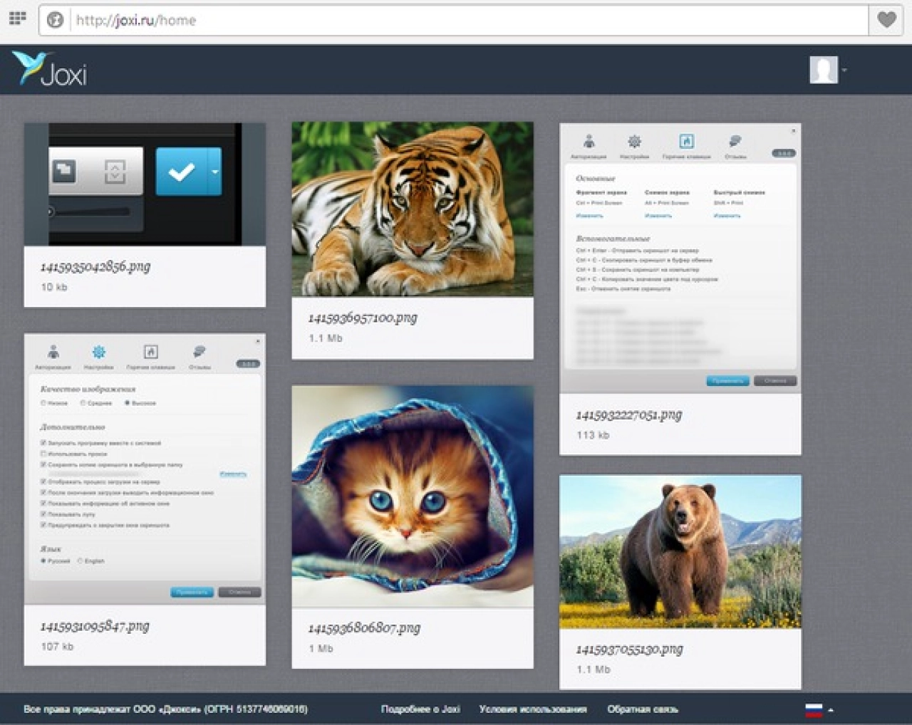 Screenshot #3 - Joxi - программа для снятия скриншотов