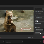 Screenshot #3 - Icecream Video Converter Pro 1.48