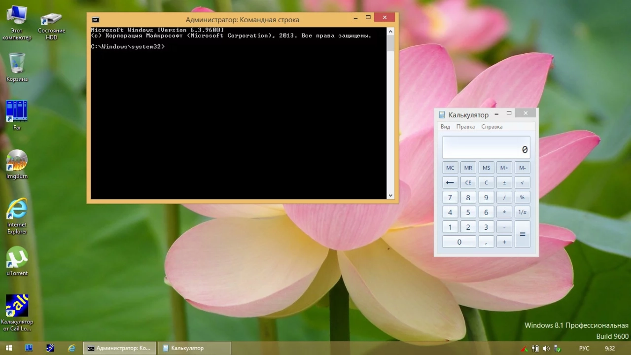 Screenshot #10 - Windows 8.1 для слабых ПК Pro (6.3.9600.17056) Lite x64 by Divet