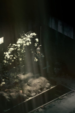 Screenshot #8 - Rauniot