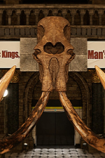 Screenshot #7 - Fossilfuel 2