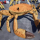 Crab - Animated Creature