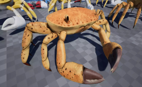 Crab - Animated Creature
