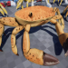 Crab - Animated Creature