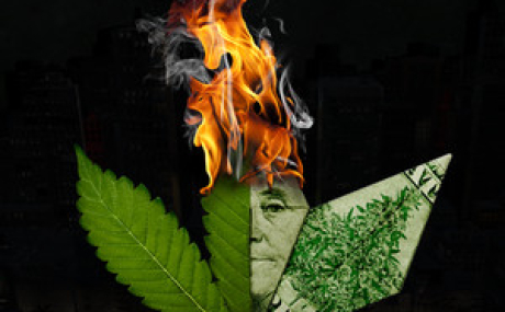 Weed Shop 3