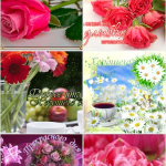 Screenshot #6 - ЖИВЫЕ ОТКРЫТКИ НА ВСЕ СЛУЧАИ 3.3.2