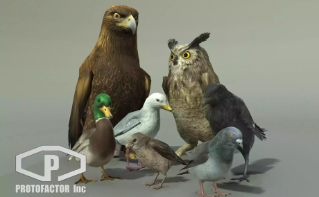 BIRDS PACK