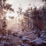 Screenshot #3 - Real Landscapes - Valley Forest