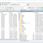 Screenshot #1 - WinsCP v6.3 FTP клиент