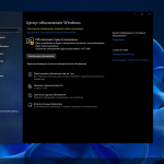 Screenshot #12 - Windows 10 Pro X-Lite 'Optimum 10' v4.11 (19045.3633)