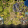 Hex Medieval-Fantasy Locations