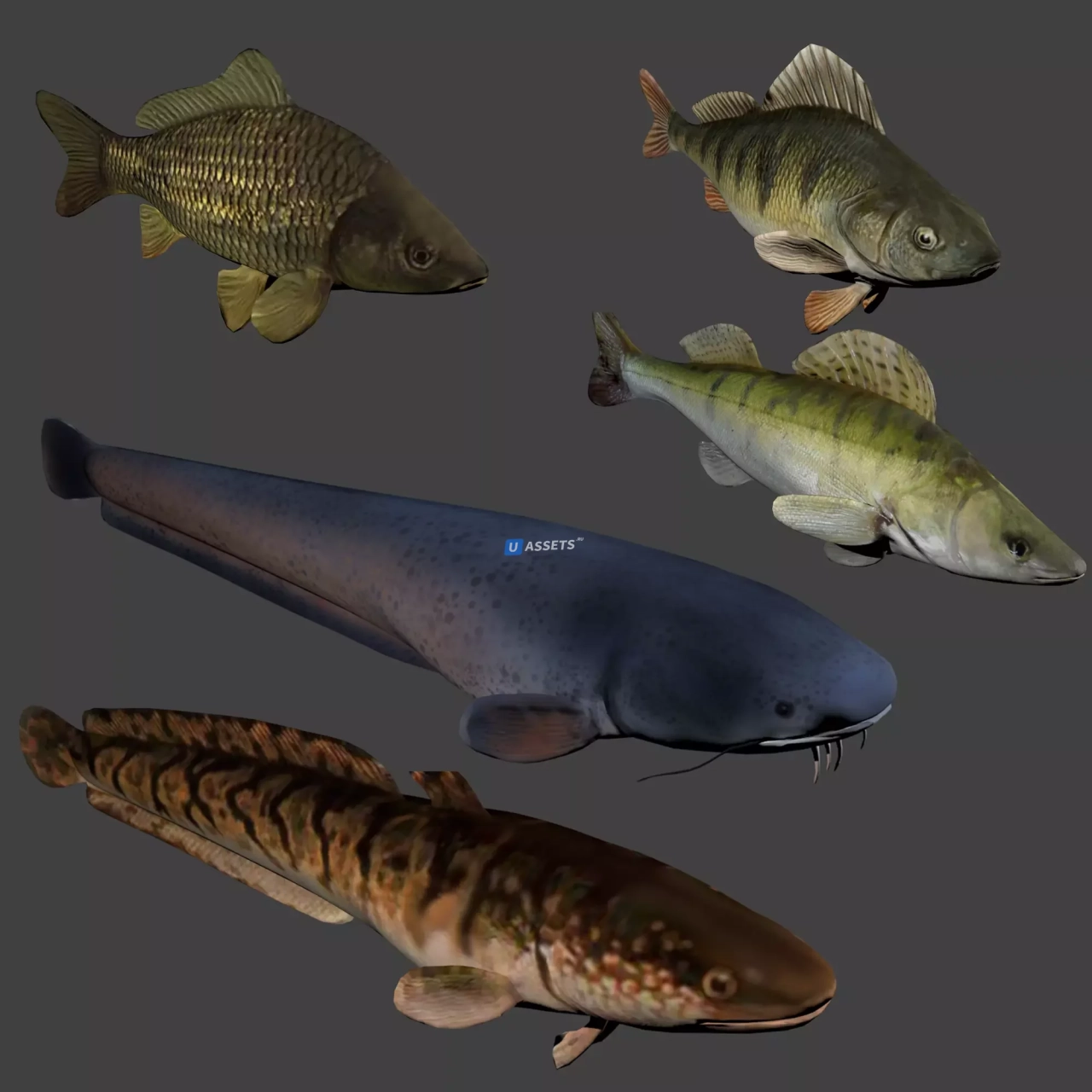 Screenshot #3 - Fish animation