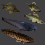 Screenshot #3 - Fish animation