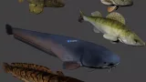 Screenshot #3 - Fish animation