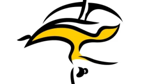 ФЛОРИСТ.РУ – ДОСТАВКА ЦВЕТОВ, ЦВЕТЫ НА ЗАКАЗ 1.10