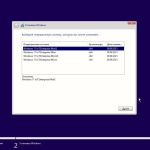 Screenshot #1 - Windows 11 IoT Enterprise Mini 22000.9 for SSD by xalex (x64)
