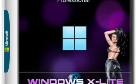 Windows 11 Lite 24H2 Pro 26100.1000 By FBConan