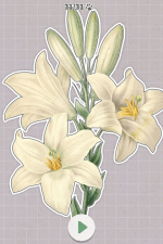 Screenshot #3 - Plants Huddled Together