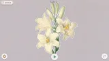 Screenshot #3 - Plants Huddled Together