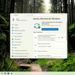 Screenshot #8 - Windows 11 Pro 25H2 Full без телеметрии 26200.6899 by Revision