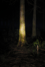 Screenshot #12 - Lost Luminosity