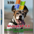 SharpEXP 4.0 by fedya (windows xp sp3 vl full +sharpE) (x86) (2017) (Multi/Rus)