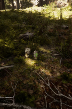 Screenshot #7 - Morels: The Hunt